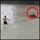 Frightened Dog Trapped in the Middle of a River Gets a Heroic Rescue